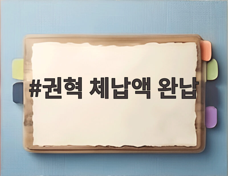 권혁 체납액 완납 15년 만에 3938억 원 낸다 1 권혁 체납액 완납