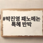박진영 패노메논 특혜 반박