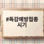 독감예방접종 시기, 늦기 전에 확인해야 할 무료접종 일정 독감예방접종 시기