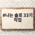 나는 솔로 33기 직업 뭐길래 모솔남녀 반전 이력 대방출 나는 솔로 33기 직업