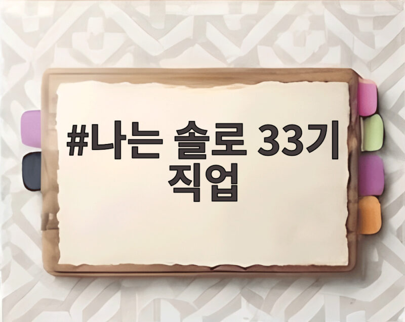 나는 솔로 33기 직업