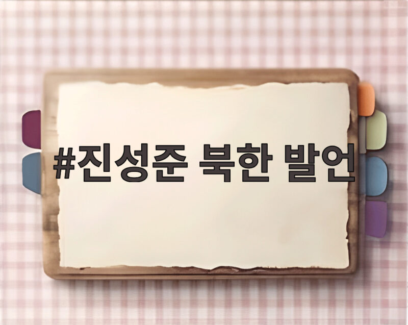 진성준 북한 발언