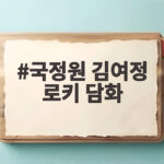 국정원 김여정 로키 담화