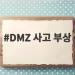 DMZ 사고 부상