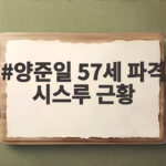 양준일 57세 파격 시스루 근황