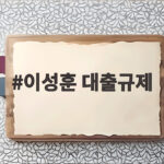 이성훈 대출규제