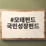 모태펀드 국민성장펀드