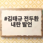 김태규 전두환 내란 발언