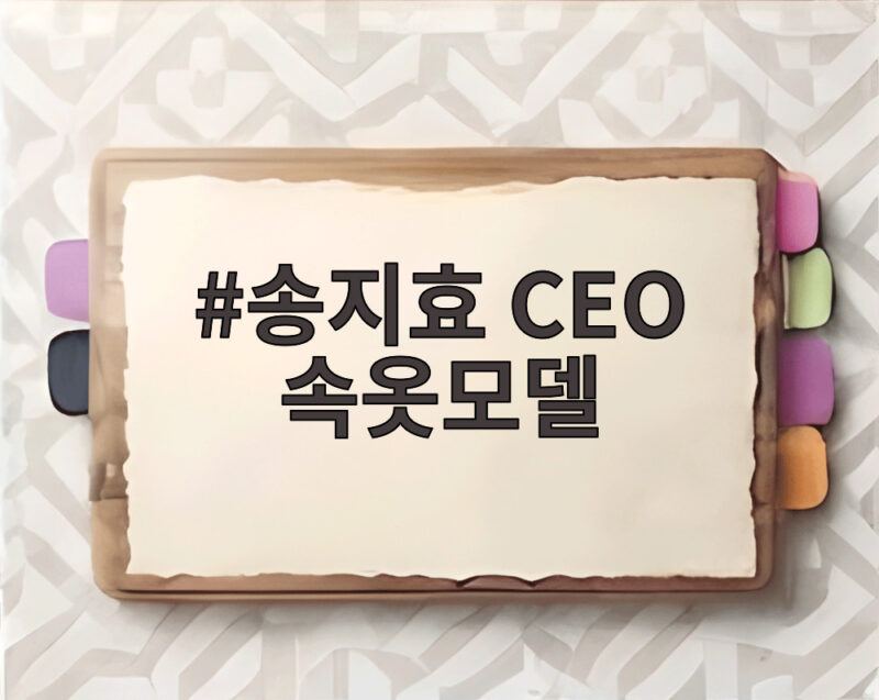 송지효 CEO 속옷모델