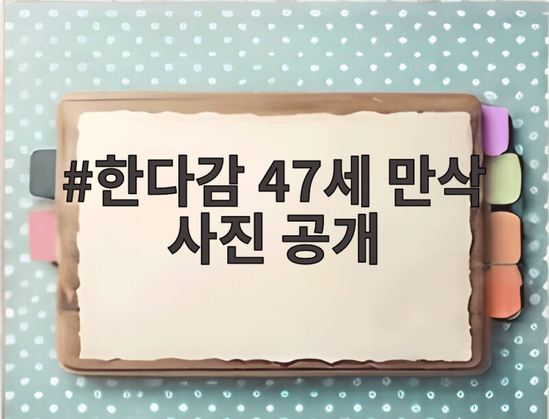 한다감 47세 만삭 사진 공개 임신 35주 D라인 화보 이야기 1 한다감 47세 만삭 사진 공개