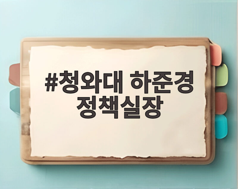 청와대 하준경 정책실장