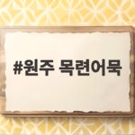 원주 목련어묵
