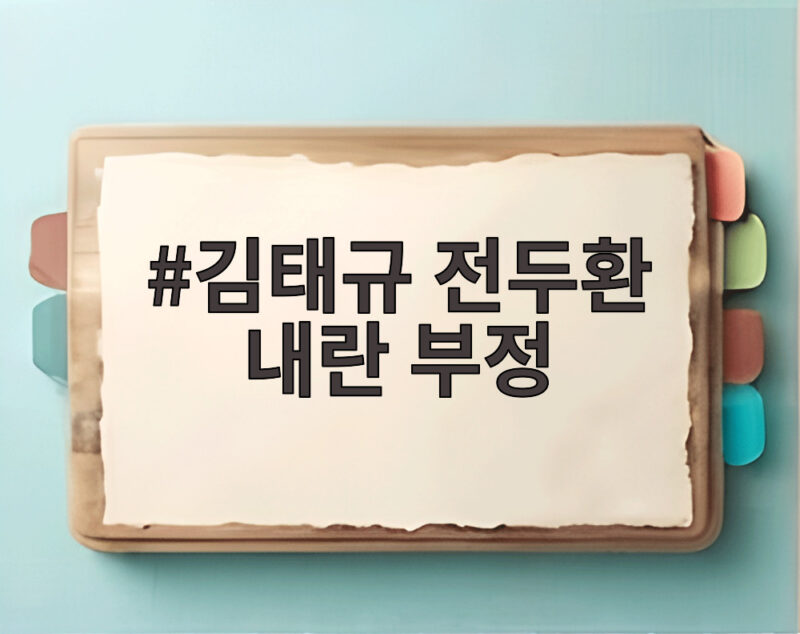 김태규 전두환 내란 부정