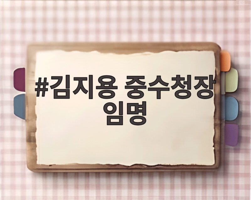 김지용 중수청장 임명 수순과 청문 일정 관심 집중 1 김지용 중수청장 임명