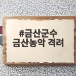 금산군수 금산농악 격려 현장 인삼축제의 숨은 이야기 금산군수 금산농악 격려
