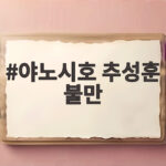 야노시호 추성훈 불만