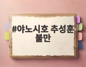 야노시호 추성훈 불만