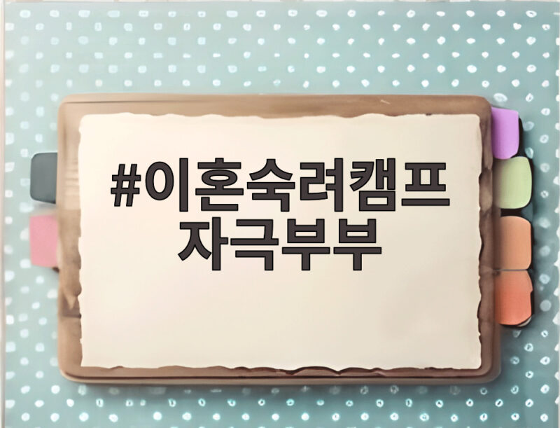 이혼숙려캠프 자극부부 폭언과 몸싸움 끝에 남긴 선택 1 이혼숙려캠프 자극부부