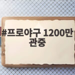 프로야구 1200만 관중 돌파 1300만 시대 성큼 다가온 흥행 비결 프로야구 1200만 관중