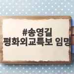 송영길 평화외교특보 임명