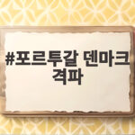 포르투갈 덴마크 격파, 호날두 없는 팀의 진짜 힘 포르투갈 덴마크 격파