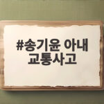 송기윤 아내 교통사고 후유증 덤프트럭 생명의 은인이 된 남편 송기윤 아내 교통사고