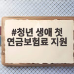 청년 생애 첫 연금보험료 지원 사전신청 2009년생이라면 놓치지 마세요 청년 생애 첫 연금보험료 지원