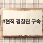 현직 경찰관 구속 AI 성착취물 제작 유포 전말과 대응 현직 경찰관 구속