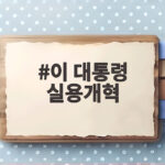 이 대통령 실용개혁 여권 논란 속 민생 성과 중심 메시지 이 대통령 실용개혁