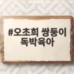 오초희 쌍둥이 독박육아