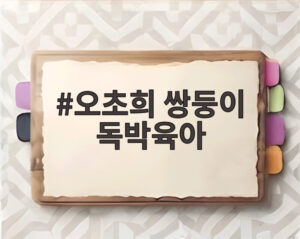 오초희 쌍둥이 독박육아