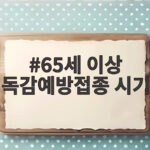 65세 이상 독감예방접종 시기 올해는 꼭 확인하세요 65세 이상 독감예방접종 시기