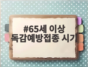 65세 이상 독감예방접종 시기