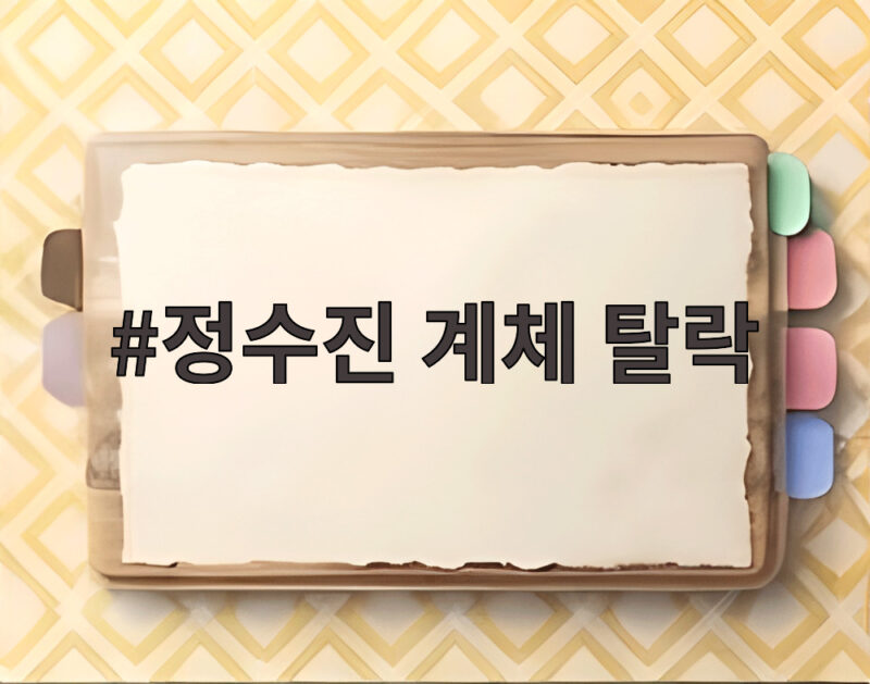 정수진 계체 탈락 진실은 지도자 실수였다 충격 폭로 1 정수진 계체 탈락