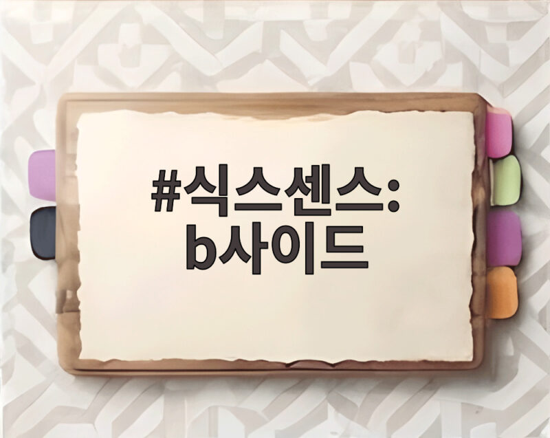 식스센스 b사이드 3회 정준하 최예나와 가짜 가게 찾는다 1 식스센스: b사이드