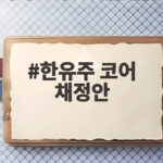 한유주 코어 채정안 냉장고를 부탁해 출연으로 보여준 동안 미모 비결 한유주 코어 채정안
