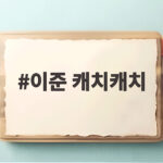 이준 캐치캐치