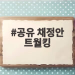 공유 채정안 트월킹 금지 사연 냉장고를 부탁해에서 방송 전말 공개 공유 채정안 트월킹