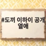 도끼 이하이 공개 열애 내 사랑 댓글과 달콤한 애정 표현 결혼설 근황 도끼 이하이 공개 열애