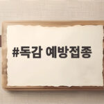 독감 예방접종 75세 이상 6일부터 시작 65세 이상은 언제 독감 예방접종