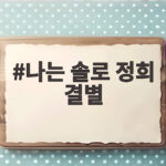 나는 솔로 정희 결별