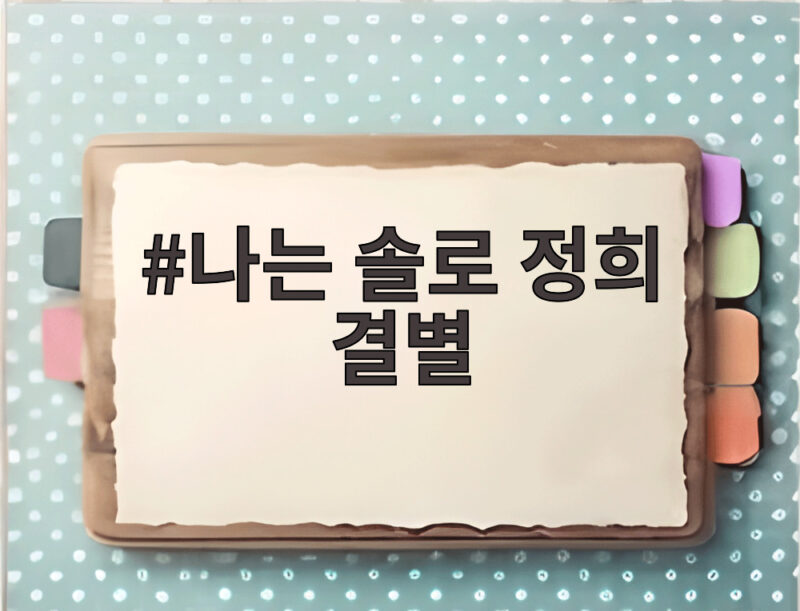나는 솔로 정희 결별 광수와 헤어진 이유는 무엇일까 1 나는 솔로 정희 결별