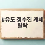 유도 정수진 계체 탈락 100g 초과 감독 실책 논란 전말 유도 정수진 계체 탈락