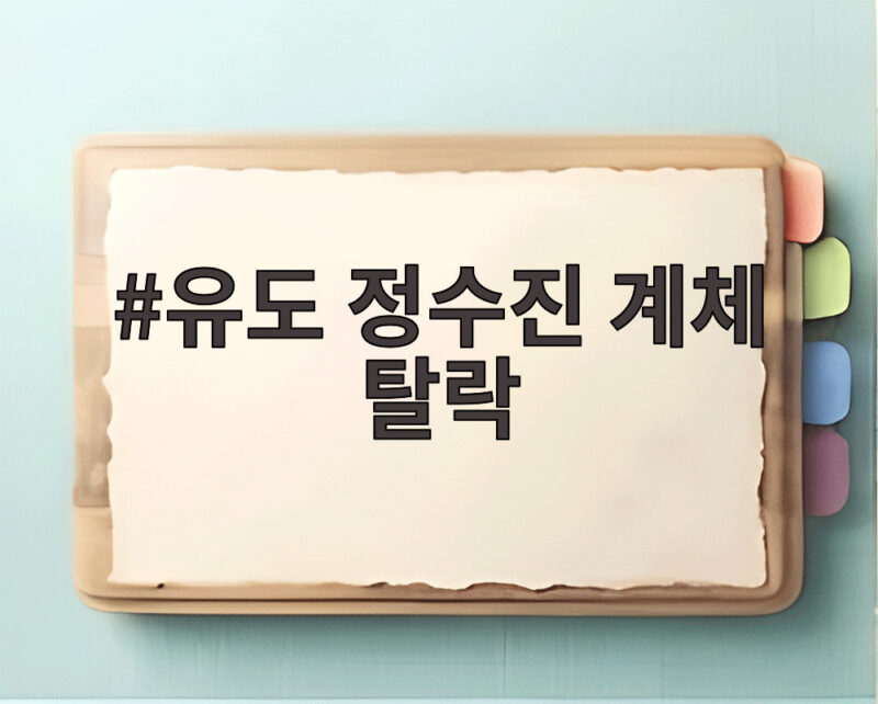 유도 정수진 계체 탈락