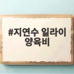 지연수 일라이 양육비 85만원 논란 속 직접 해명한 내용 지연수 일라이 양육비