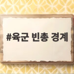 육군 빈총 경계 전방 모든 군단에서 확인된 안보 공백 육군 빈총 경계