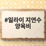일라이 지연수 양육비 85만원 둘러싼 논란 양측 이야기 총정리 일라이 지연수 양육비