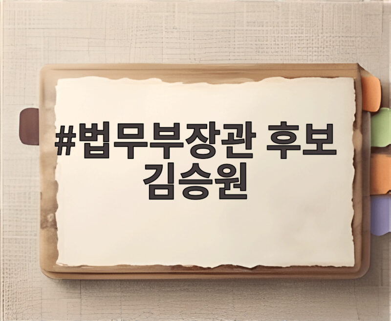 법무부장관 후보 김승원 낙마 이후 국감 쟁점과 후임 전망 1 법무부장관 후보 김승원