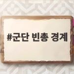 군단 빈총 경계 전방 모든 군단에서 적발된 안보 공백 군단 빈총 경계