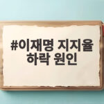 이재명 지지율 하락 원인 공소취소 논란과 지방 박탈감 이재명 지지율 하락 원인